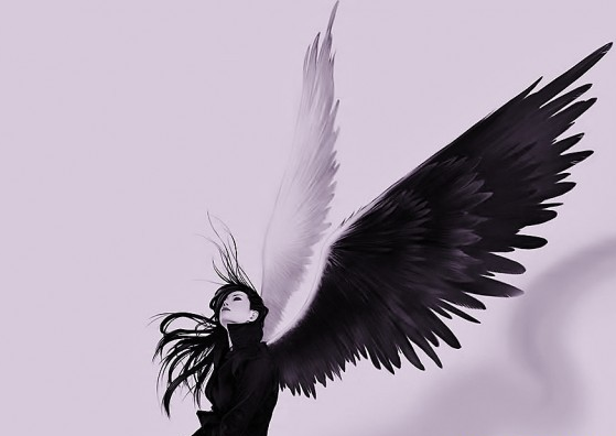 裝修第三方平臺(tái)，是裝修行業(yè)的天使還是惡魔