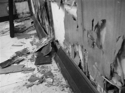 白蟻的危害，每年造成的直接經(jīng)濟(jì)損失在3000萬元以