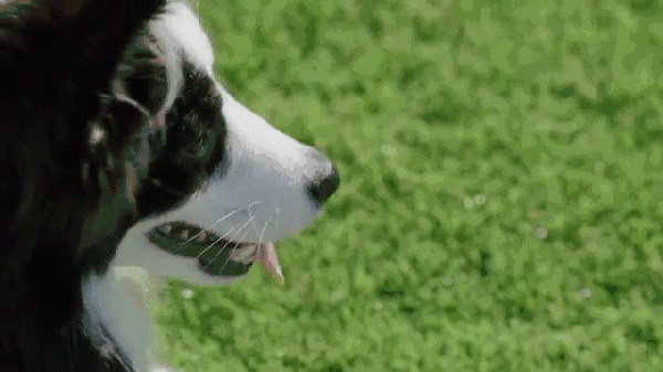 2017年＊流行，是時候給你點(diǎn)綠色瞧瞧了～