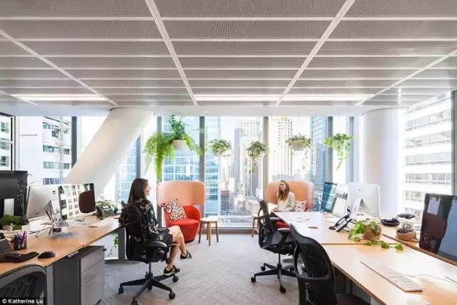 2000m2 像家一樣溫馨的辦公室，看完我心動(dòng)了