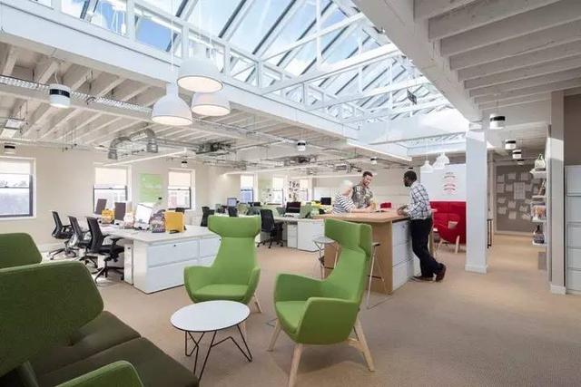 150億市場潛力，辦公室裝修也要開始考慮狗狗的感受了